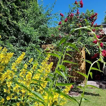 Apartment Mit Garten, Zentral Und Trotzdem Ruhig
