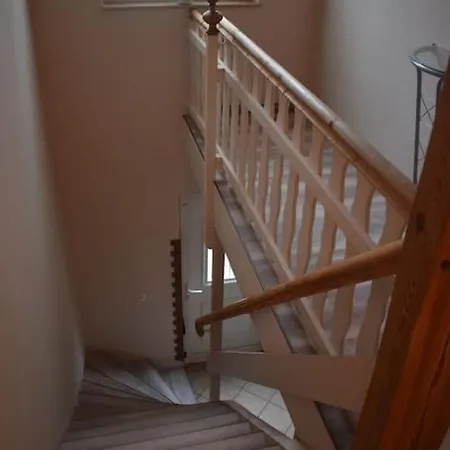 Apartment Mit Garten, Zentral Und Trotzdem Ruhig Cottbus